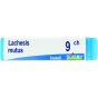 Lachesis mutus 9ch gl