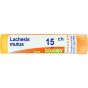 Lachesis mutus 15ch gr