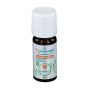 Eucalipto globulo oe bio 10ml