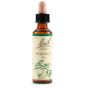 Walnut bach orig 20ml