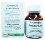 Artemisia absinthium 30ml tm