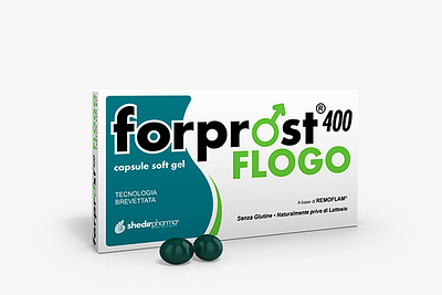 Forprost 400 flogo