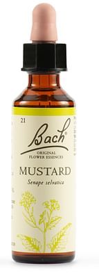 Mustard bach orig 10ml prep